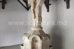 Model-20-Rastignire-la-Soroca-Noua